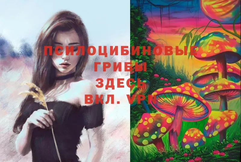 Галлюциногенные грибы Magic Shrooms  Баймак 